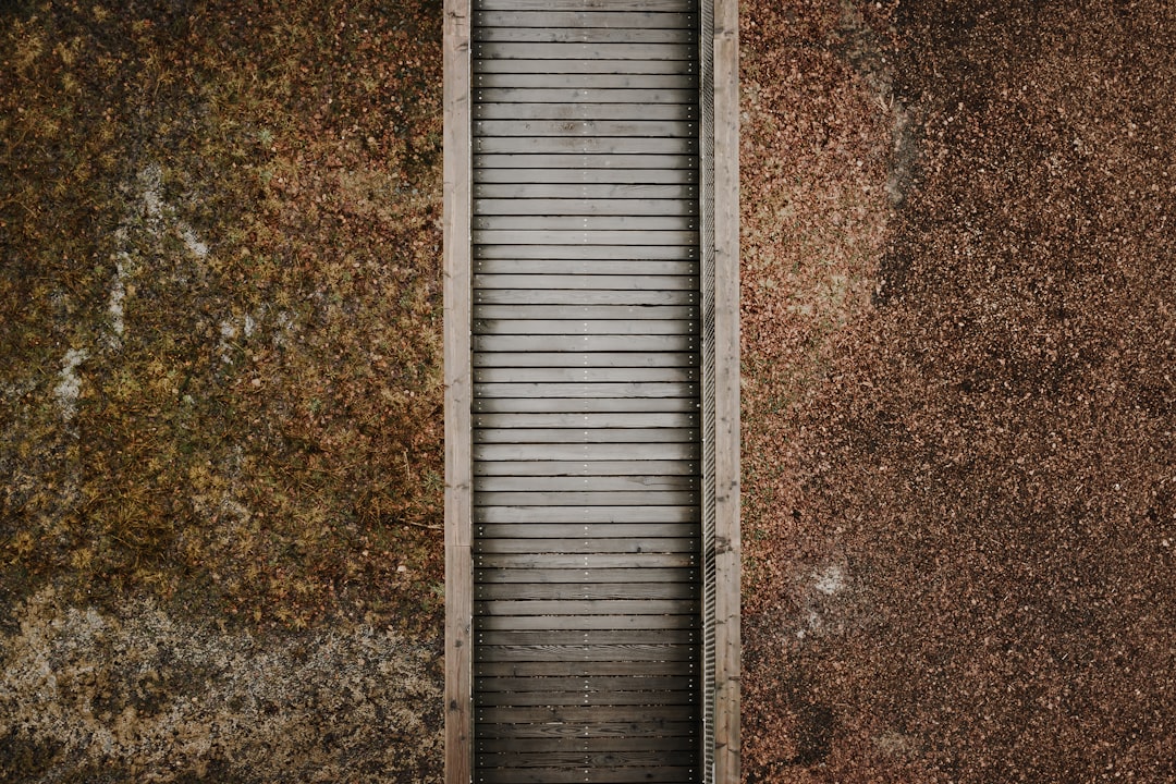 Tips dan Trik Memaksimalkan Peluang Menang di Slot Gacor DV188